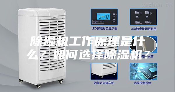 除濕機工作原理是什么？如何選擇除濕機？