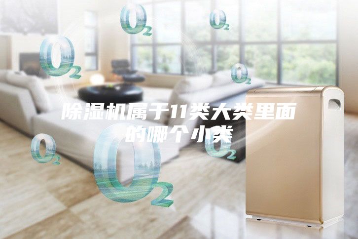 除濕機(jī)屬于11類(lèi)大類(lèi)里面的哪個(gè)小類(lèi)