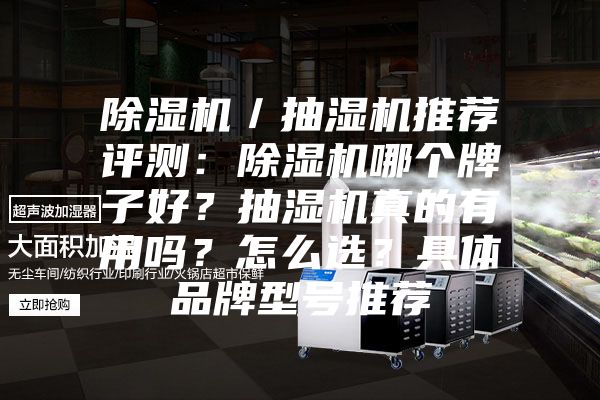 除濕機／抽濕機推薦評測：除濕機哪個牌子好？抽濕機真的有用嗎？怎么選？具體品牌型號推薦