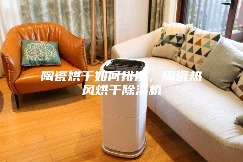 陶瓷烘干如何排濕，陶瓷熱風(fēng)烘干除濕機(jī)
