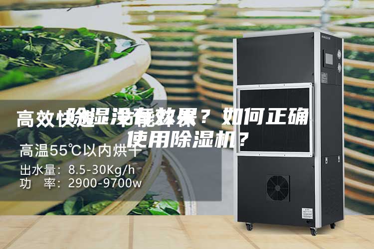 除濕沒有效果？如何正確使用除濕機？