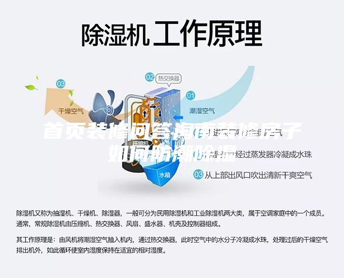 首頁(yè)裝修問答海南裝修房子如何防潮除濕